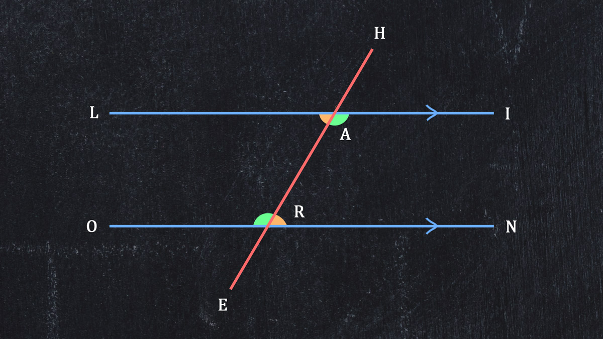 Alternate Interior Angles - Parallel Lines and a Transversal