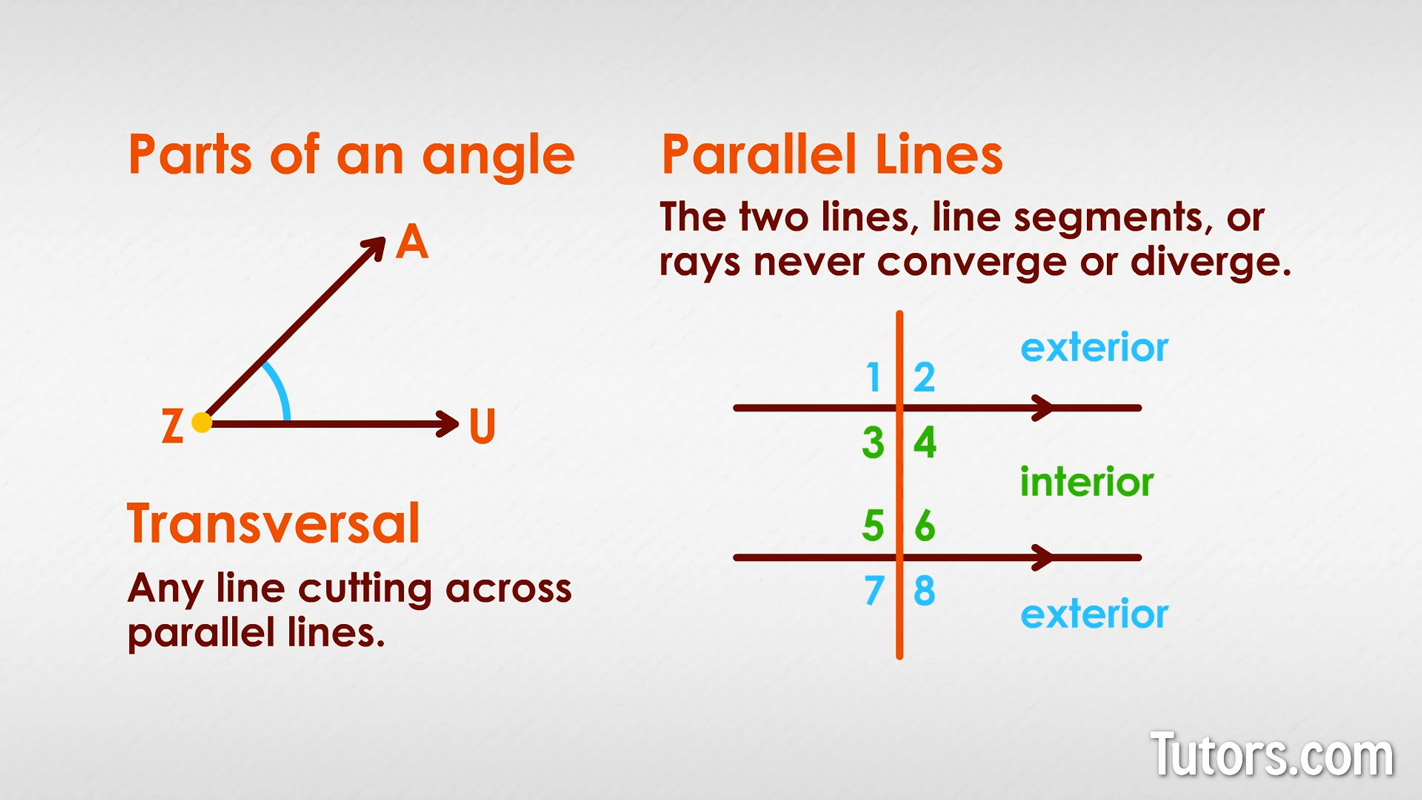 Alternate Interior Angles Definition Theorem Examples