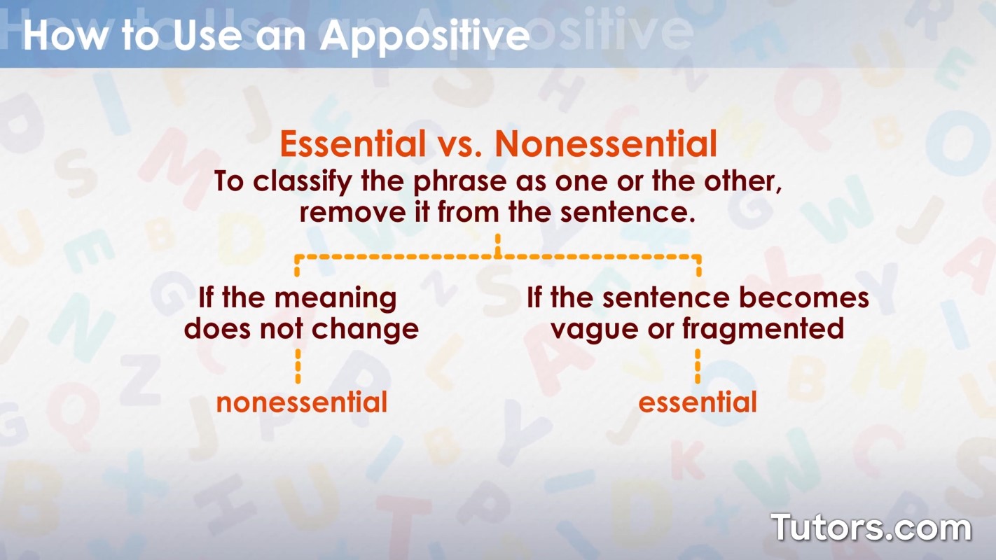 Appositives Definition Use And Examples 59 OFF