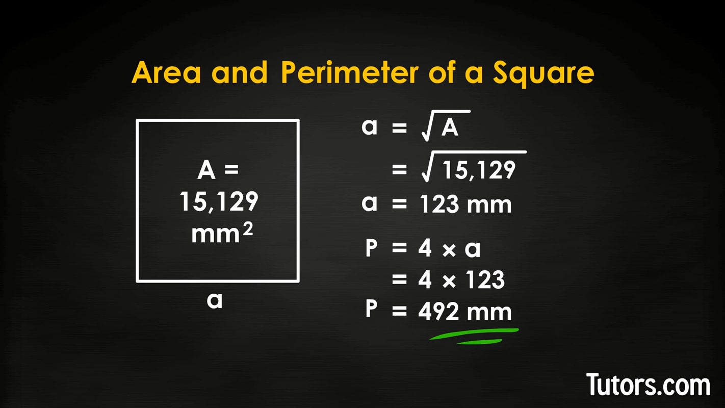 perimeter and area of a square