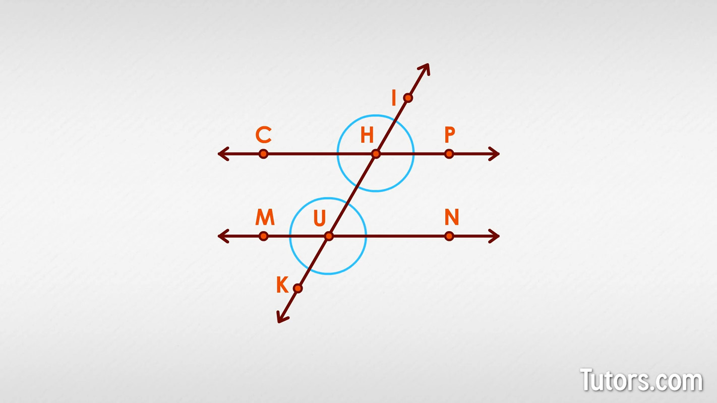 Adjacent Side in a Triangle: Definitions and Examples - Club Z! Tutoring