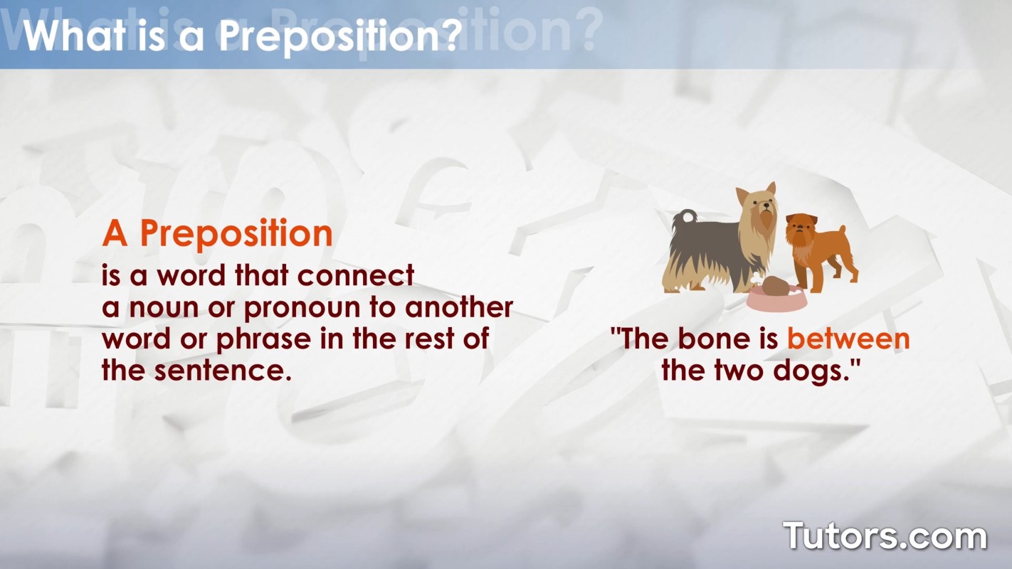 Prepositions Definition Examples And Types 47 OFF