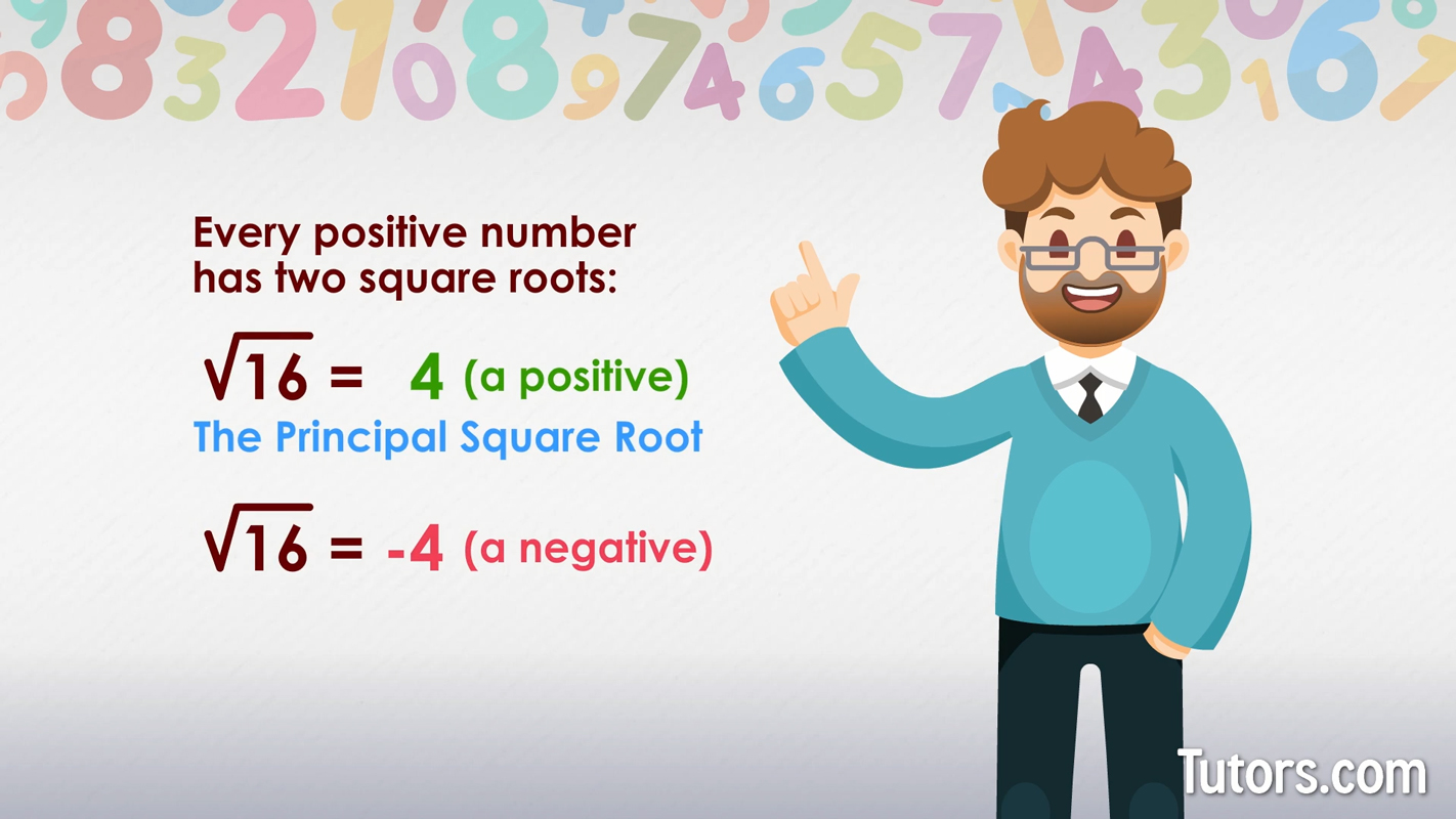 Principle square root of 169