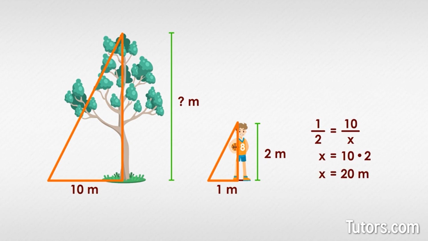 Similar figures example