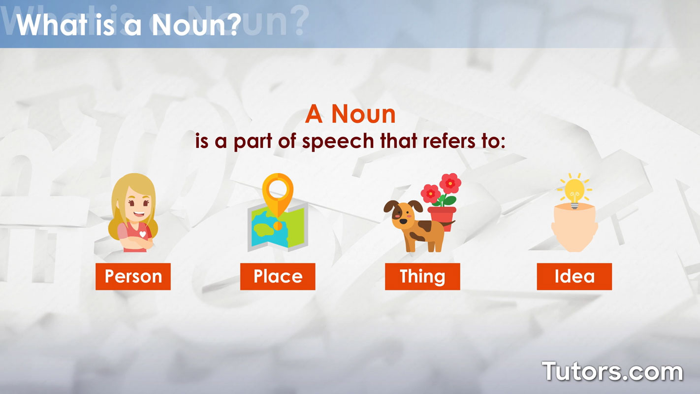 Novice Definition Noun